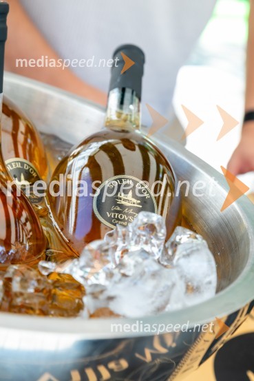 Ljubljanska vinska pot 2024