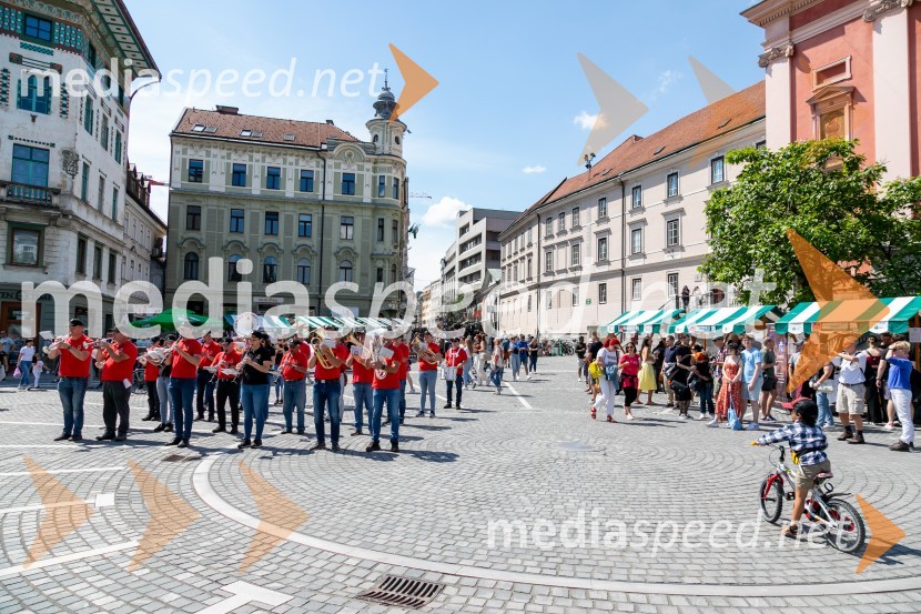 Ljubljanska vinska pot 2024