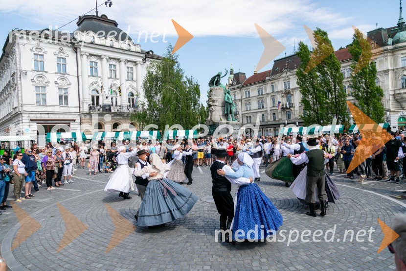 Ljubljanska vinska pot 2024