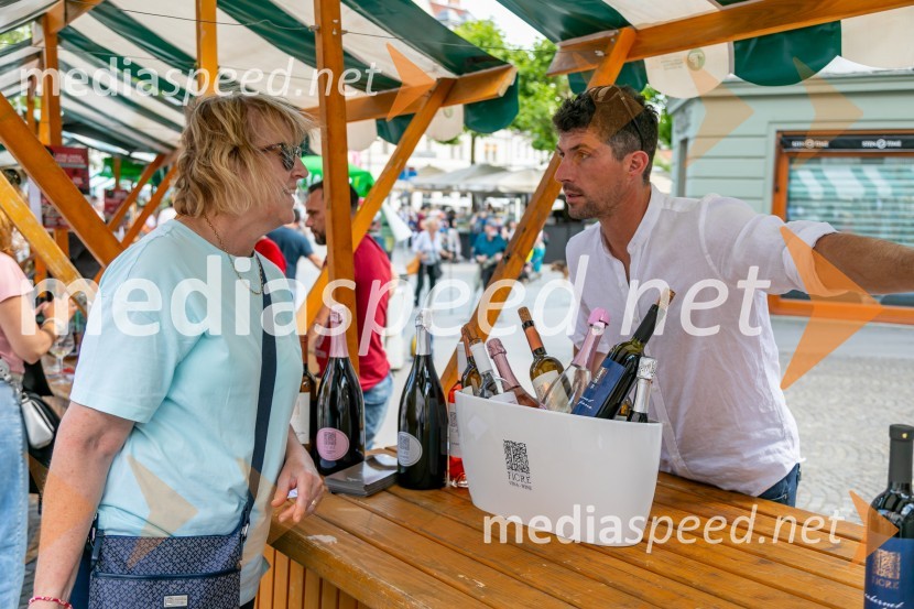 Ljubljanska vinska pot 2024