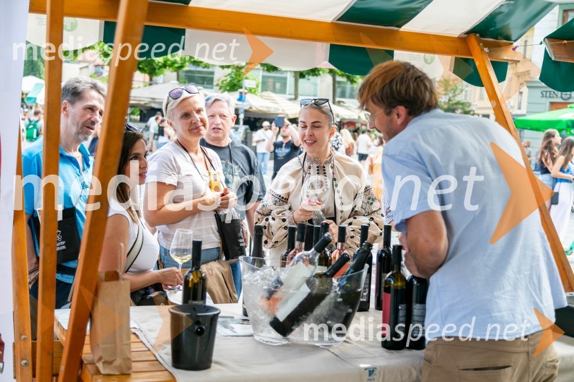 Ljubljanska vinska pot 2024