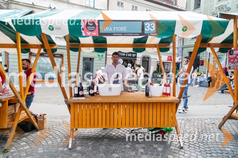 Ljubljanska vinska pot 2024