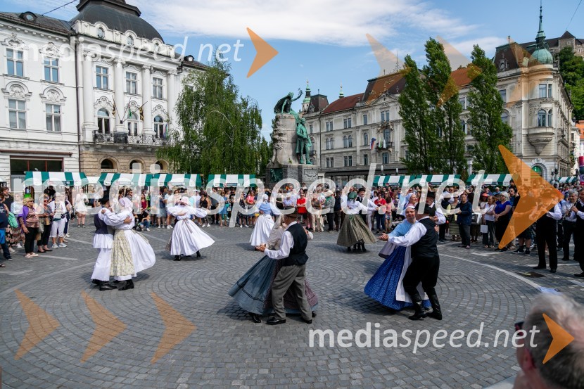 Ljubljanska vinska pot 2024