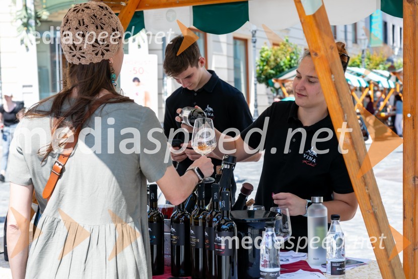 Ljubljanska vinska pot 2024