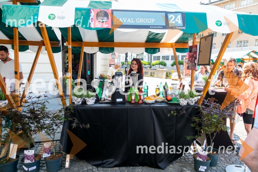 Ljubljanska vinska pot 2024