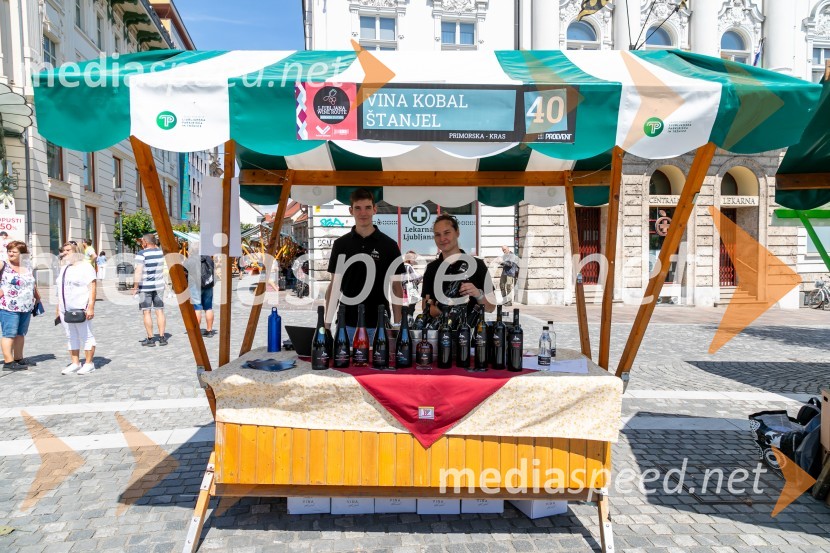 Ljubljanska vinska pot 2024