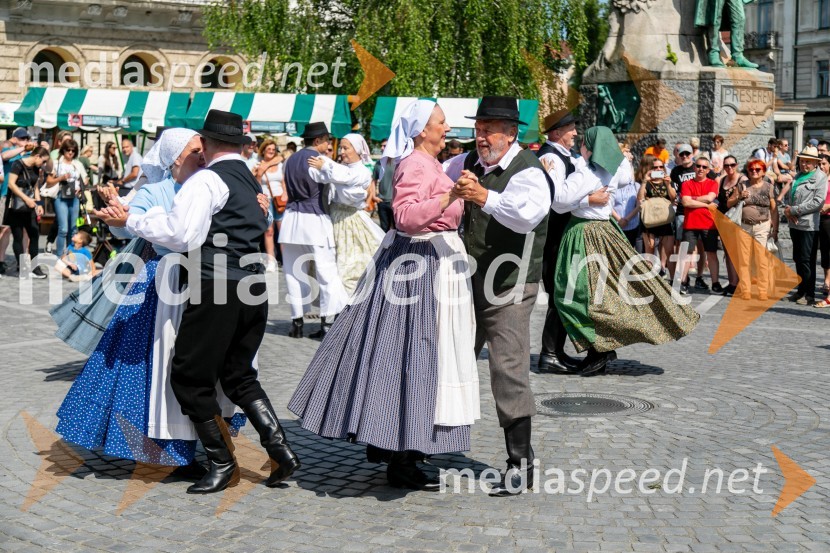 Ljubljanska vinska pot 2024