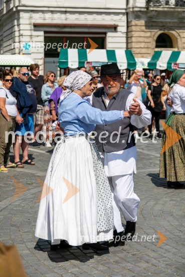 Ljubljanska vinska pot 2024