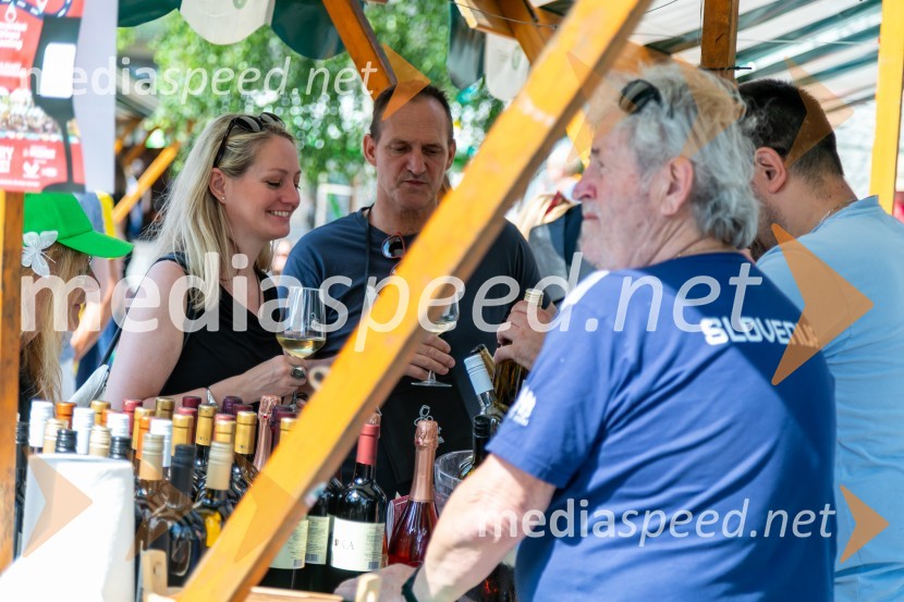 Ljubljanska vinska pot 2024