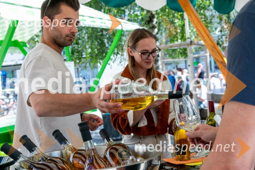 Ljubljanska vinska pot 2024