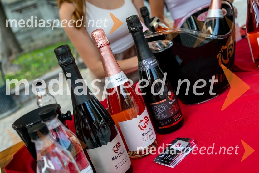 Ljubljanska vinska pot 2024