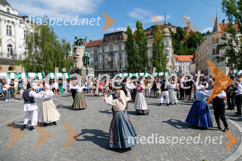 Ljubljanska vinska pot 2024