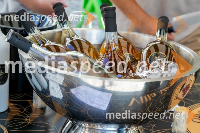 Ljubljanska vinska pot 2024