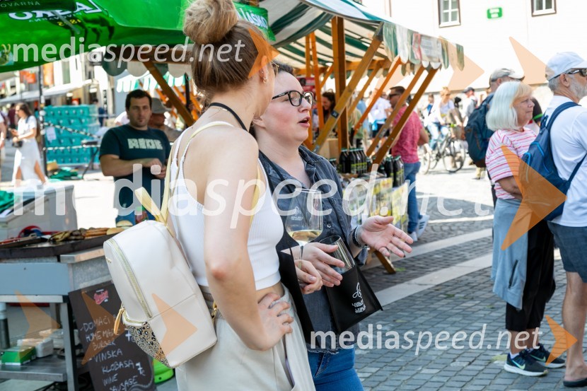 Ljubljanska vinska pot 2024