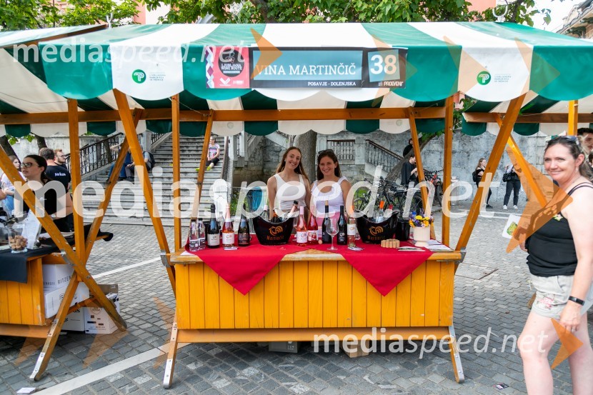 Ljubljanska vinska pot 2024