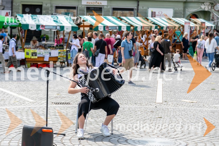 Ljubljanska vinska pot 2024