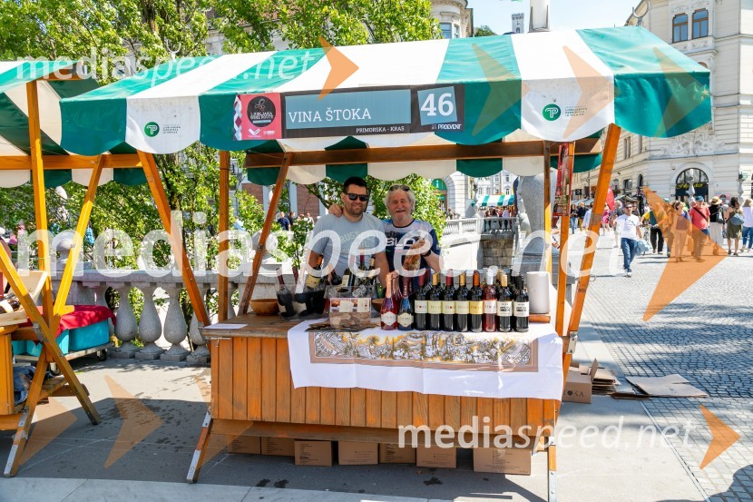 Ljubljanska vinska pot 2024