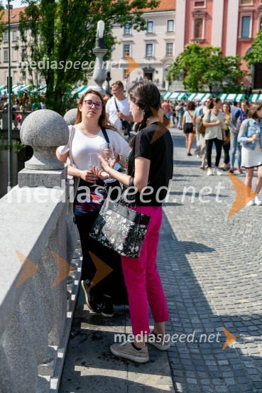 Ljubljanska vinska pot 2024