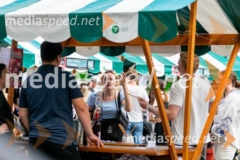 Ljubljanska vinska pot 2024