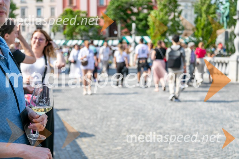  Lara Tošić, radijska voditeljicaLjubljanska vinska pot 2024