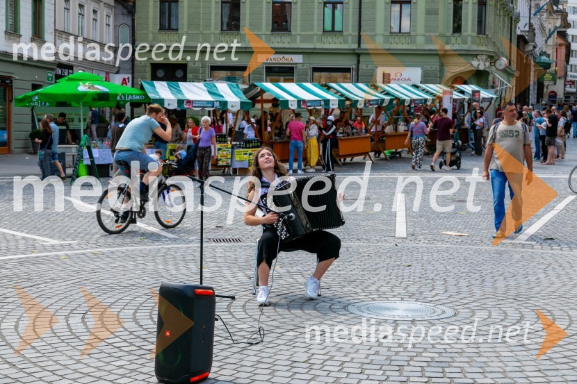 Ljubljanska vinska pot 2024