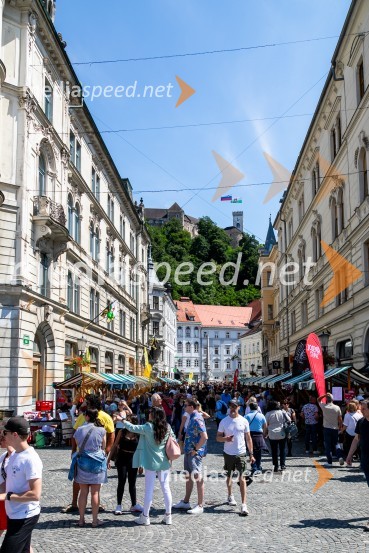 Ljubljanska vinska pot 2024