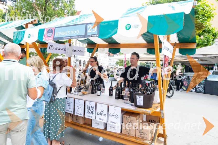 Ljubljanska vinska pot 2024