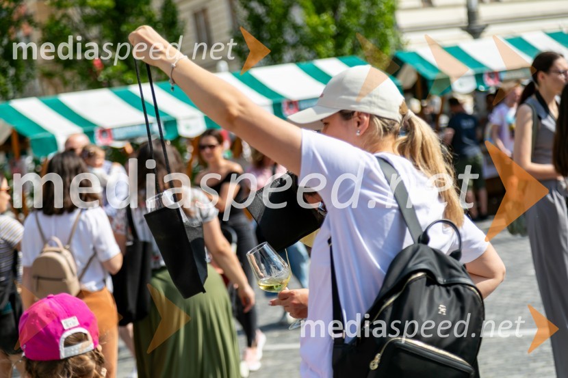 Ljubljanska vinska pot 2024