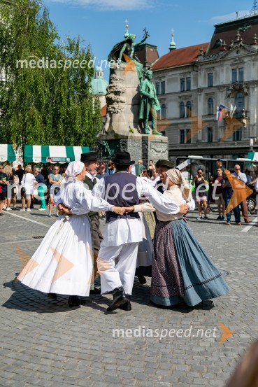 Ljubljanska vinska pot 2024