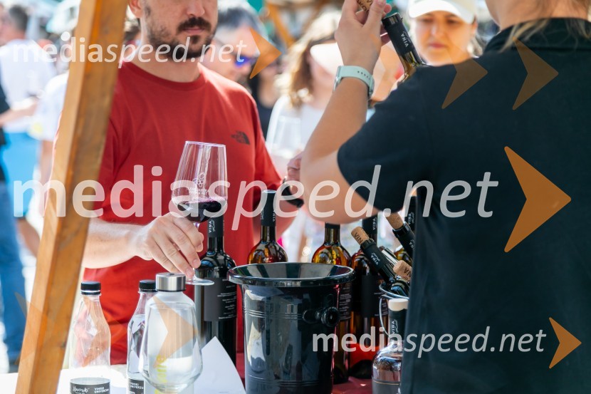 Ljubljanska vinska pot 2024