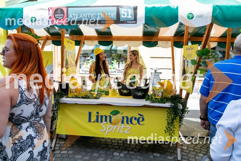 Ljubljanska vinska pot 2024