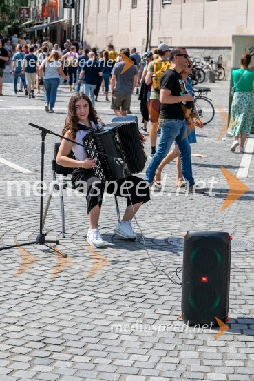 Ljubljanska vinska pot 2024