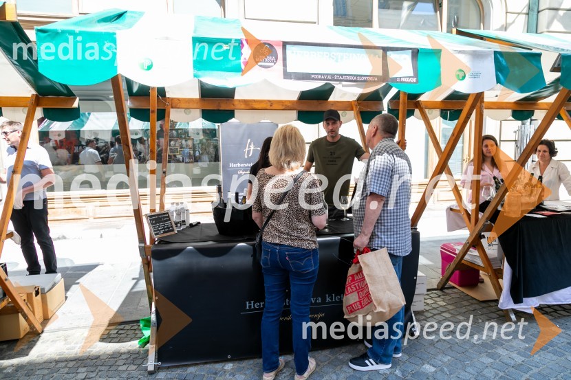 Ljubljanska vinska pot 2024