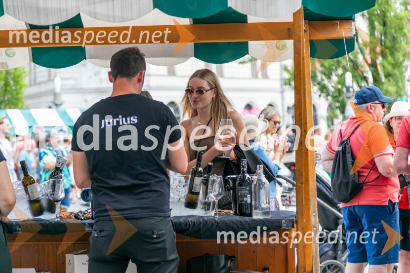 Ljubljanska vinska pot 2024