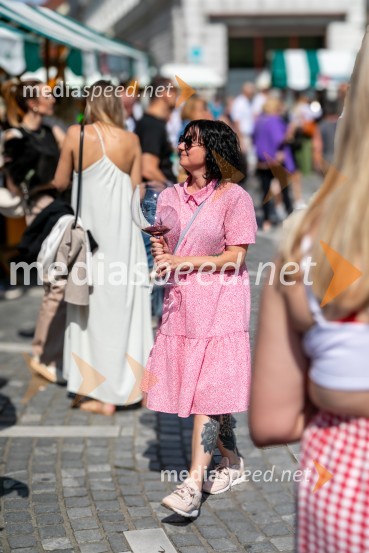 Ljubljanska vinska pot 2024