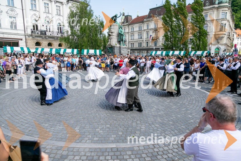 Ljubljanska vinska pot 2024