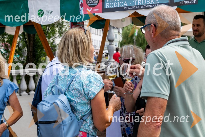 Ljubljanska vinska pot 2024