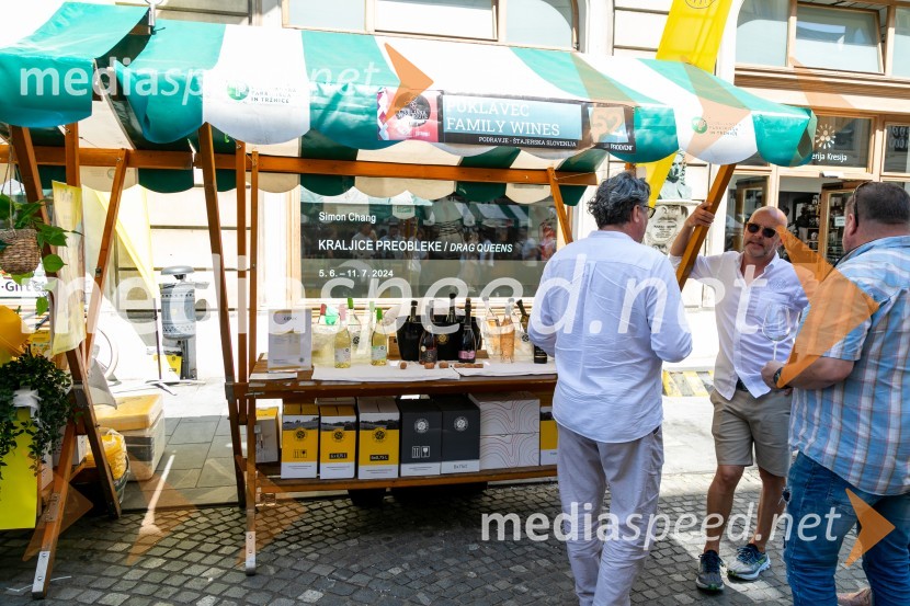 Ljubljanska vinska pot 2024