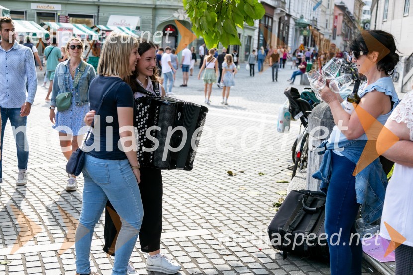 Ljubljanska vinska pot 2024