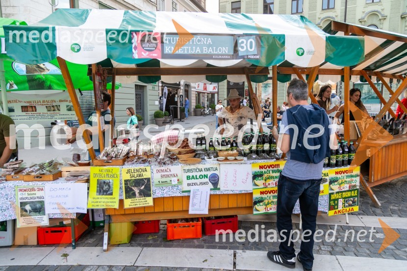 Ljubljanska vinska pot 2024