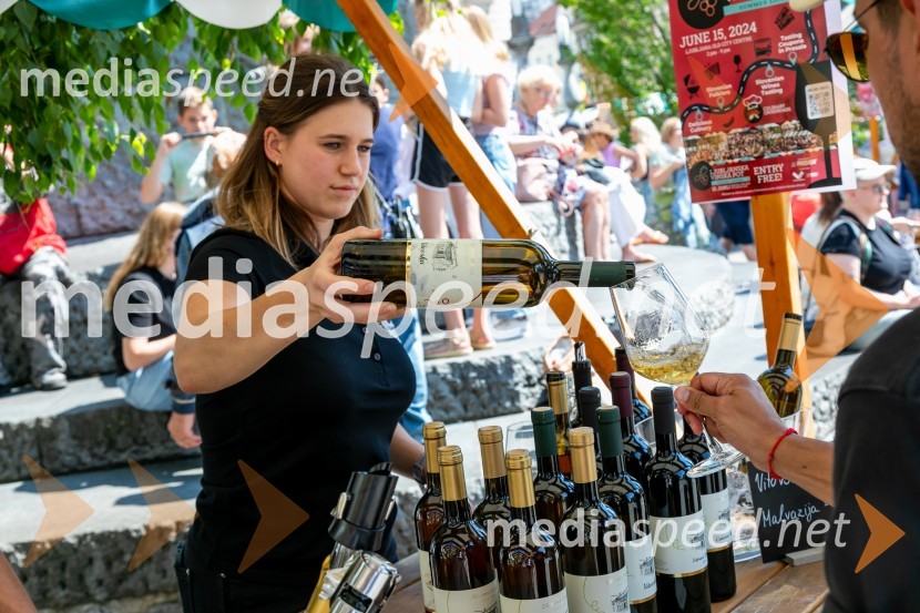 Ljubljanska vinska pot 2024