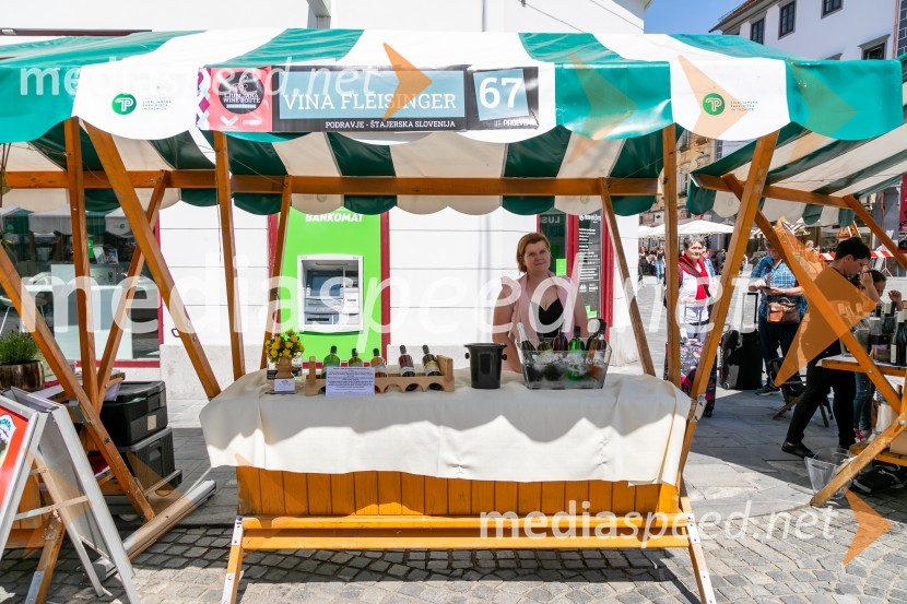 Ljubljanska vinska pot 2024