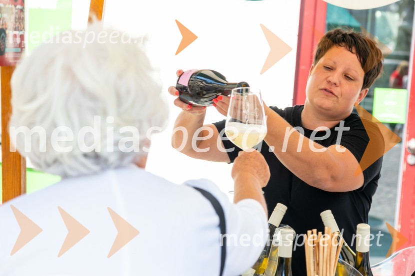 Ljubljanska vinska pot 2024