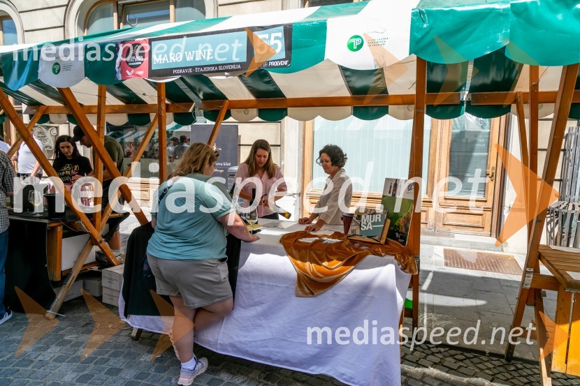 Ljubljanska vinska pot 2024