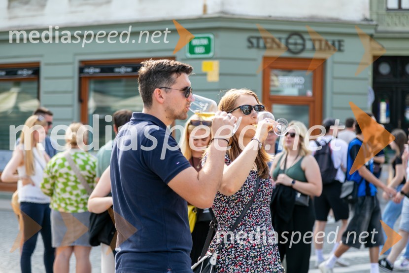  ... ;  ... ;  ... ;  Bojana Florjančič, Hansen BeckLjubljanska vinska pot 2024