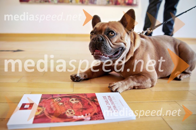 Odprtje razstave Lične zablode slikarja Patrika Dvorščaka