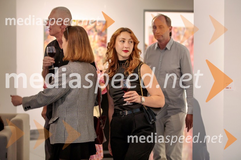  Manca ŠegaOdprtje razstave Lične zablode slikarja Patrika Dvorščaka