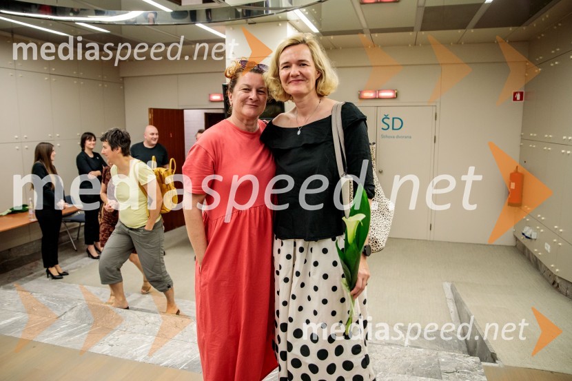 Neandertalčeva piščal, zakaj potrebujemo glasbo, sploh?, premiera v Cankarjevem domu