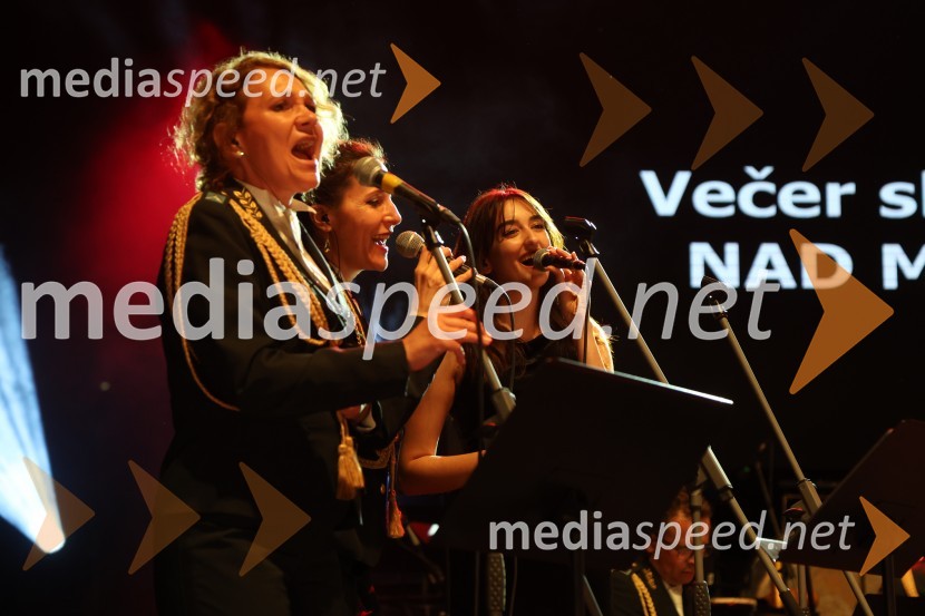 Večer slovenske popevke, Lent 2024