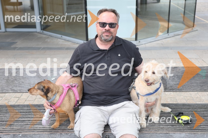 Festival Lent 2024, nedeljsko dogajanje